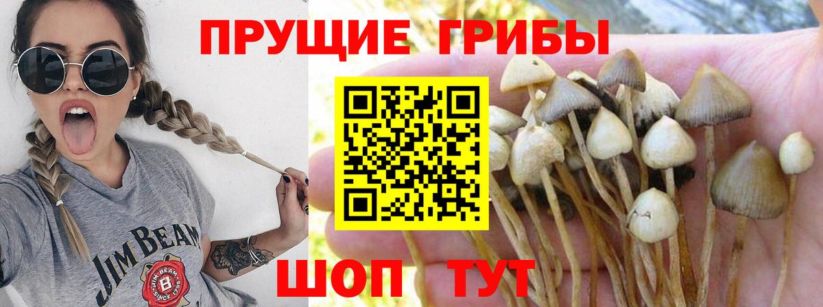 Псилоцибиновые грибы MAGIC MUSHROOMS Алушта